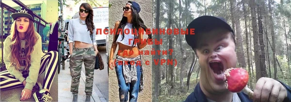 соль ск Володарск
