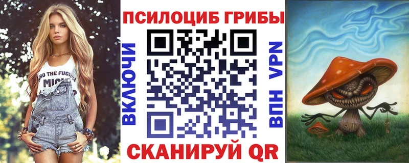 Псилоцибиновые грибы прущие грибы  Купить  Любань 